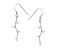 Wonderful Design Silver Earring SPLE-07